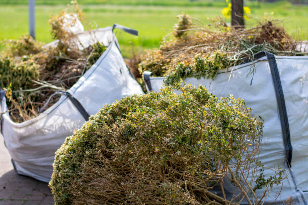 Professional Junk Removal Services in Princeton, IL